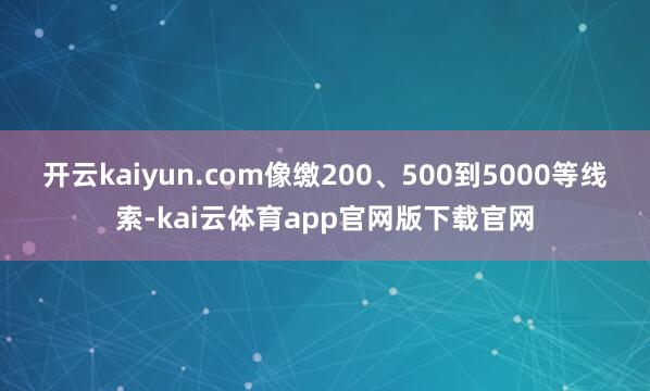 开云kaiyun.com像缴200、500到5000等线索-kai云体育app官网版下载官网